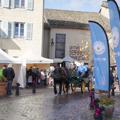 Les Sarmentelles, Les Sarmentelles, 